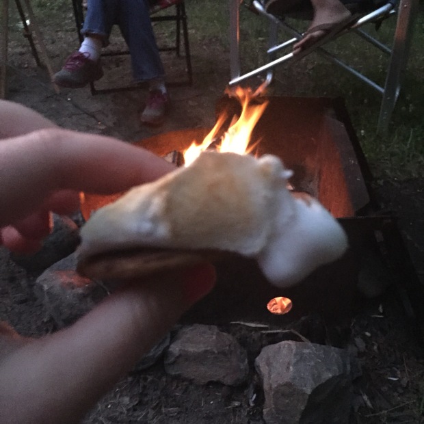 Mmm S'mores